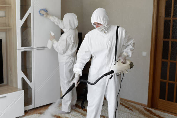 Best Mold Removal Specialists  in Bourbonnais, IL